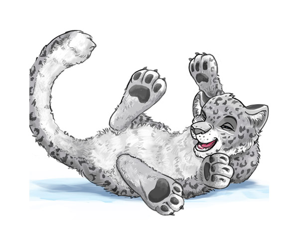 sketches-snowleopards-thumb